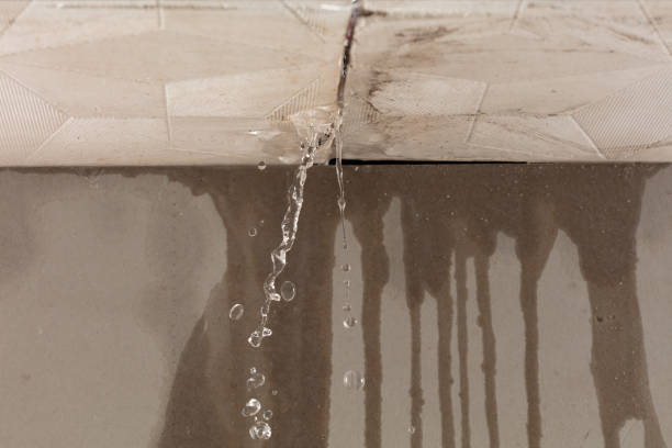 Professional Structural Drying technician working in Whitesburg, GA